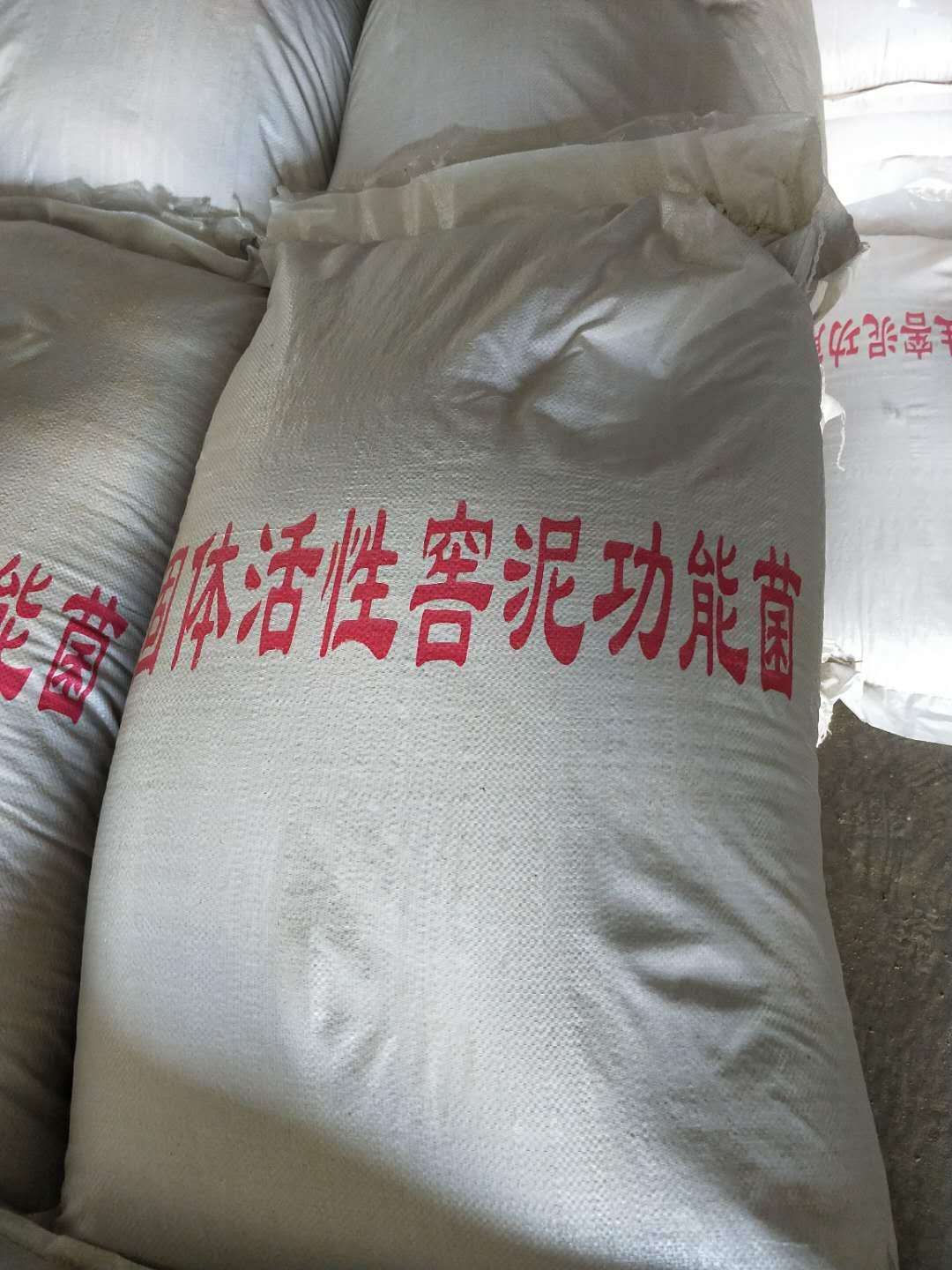 窖泥功能菌